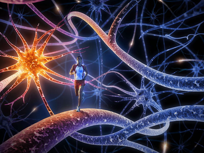 HD-wallpaper-neuron-runner-bio-medical-cell-3d-human-runner-body-neuron-brain